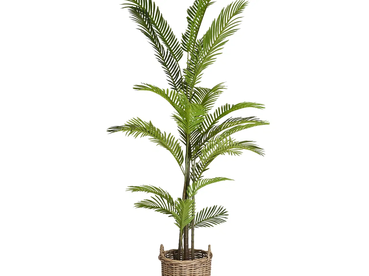 Billede 1 - Kunstig plante Palme træ 150 cm