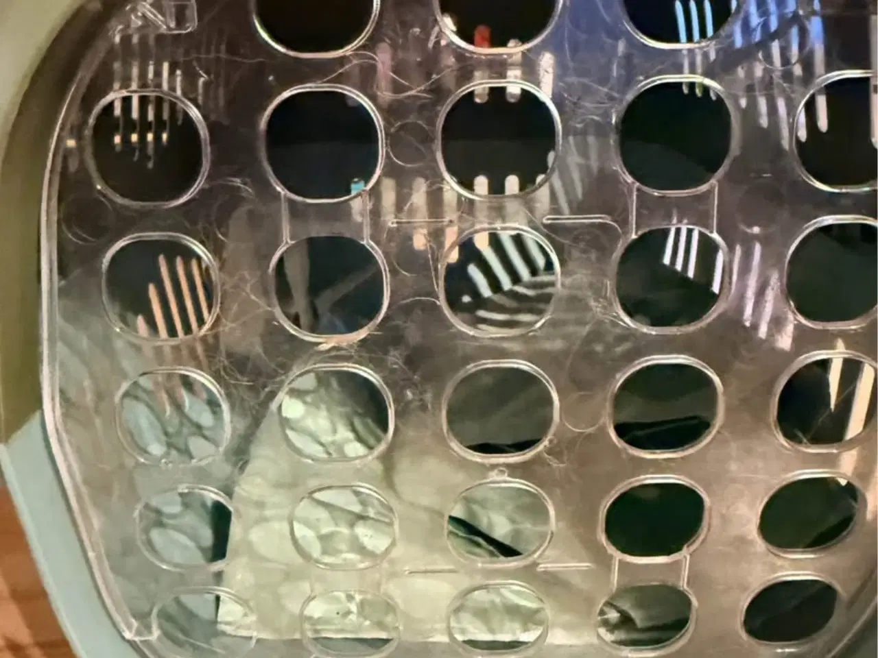 Billede 6 - Katte flyttekasse , kan bruge til både katte hund