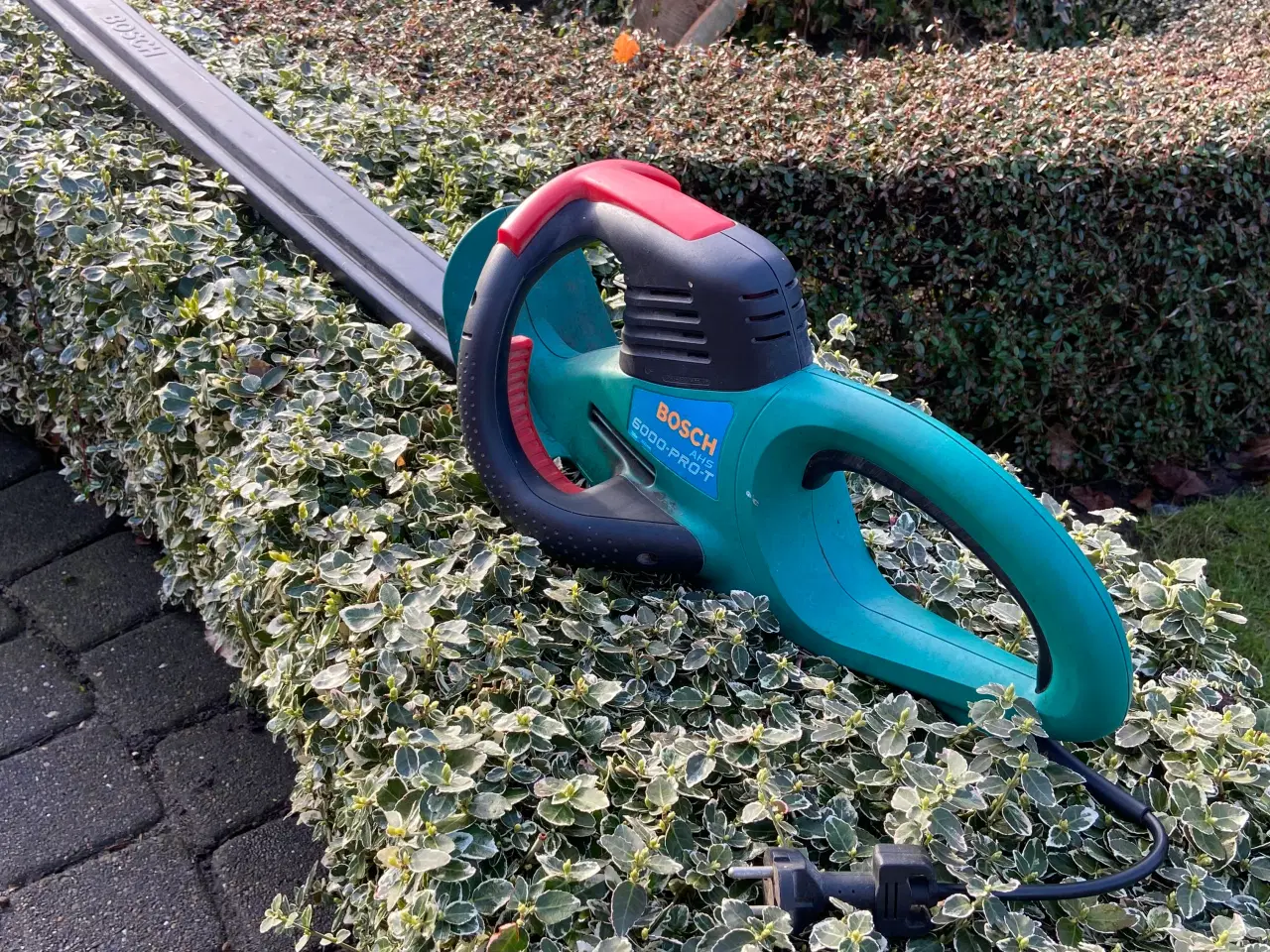 Billede 1 - Bosch hækkeklipper