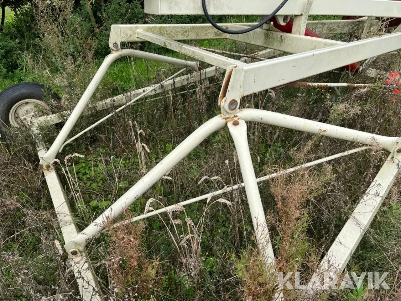 Billede 7 - Amerikaner snegl Buhler Farming
