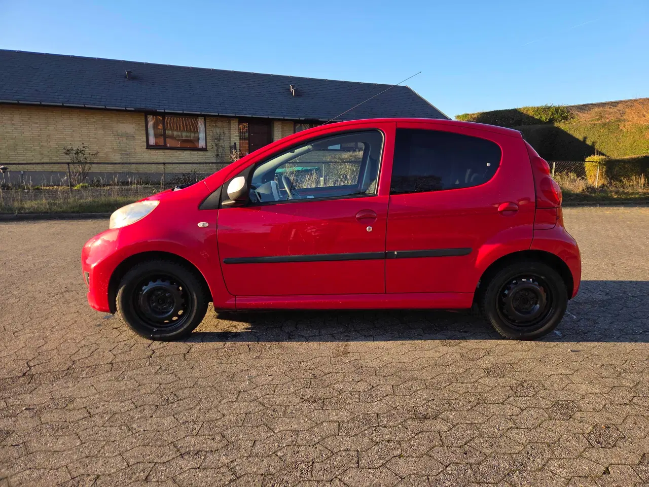 Billede 15 - ØKOGRIS MED PLADER OG NYSYNET 