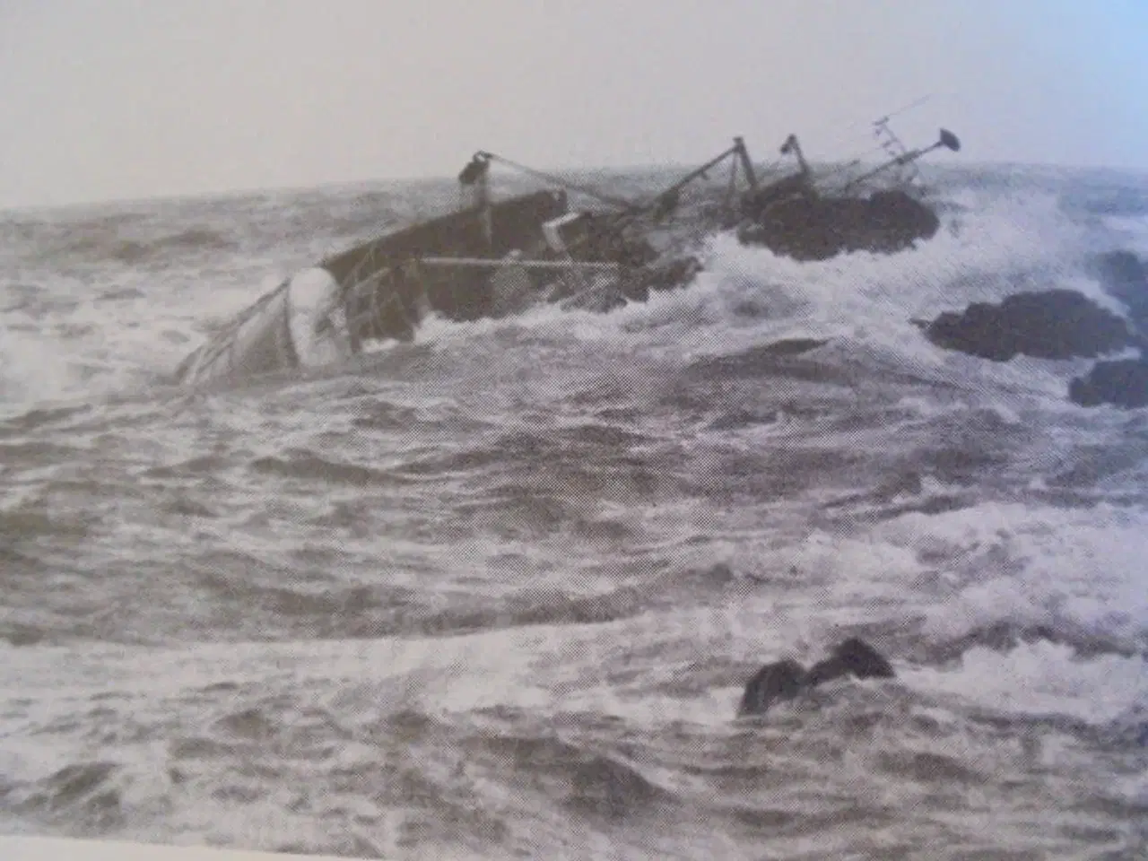 Billede 8 - Sunderland Marine Mutual Insurance  