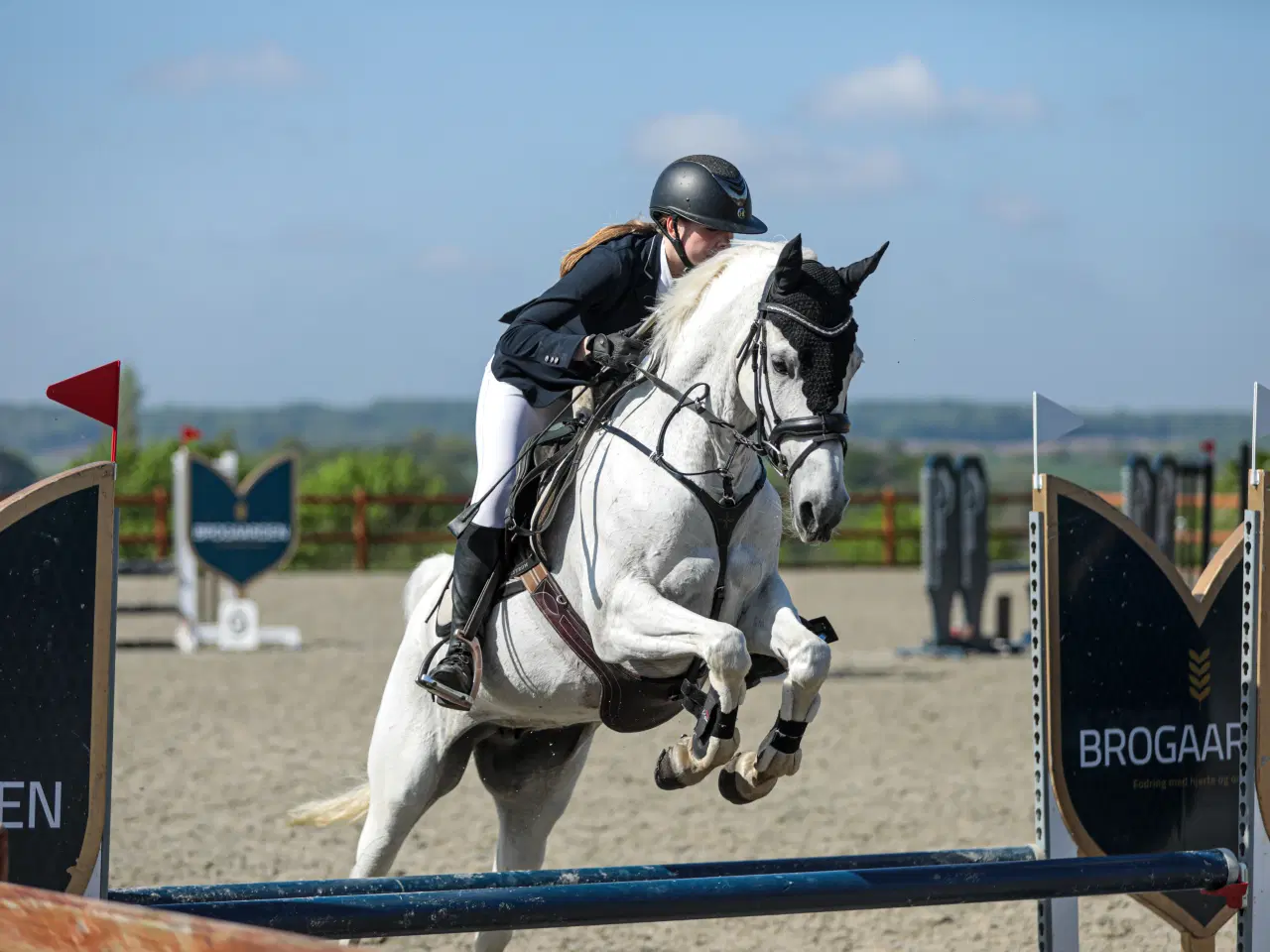 Billede 3 - Spring pony med kæmpe talent 