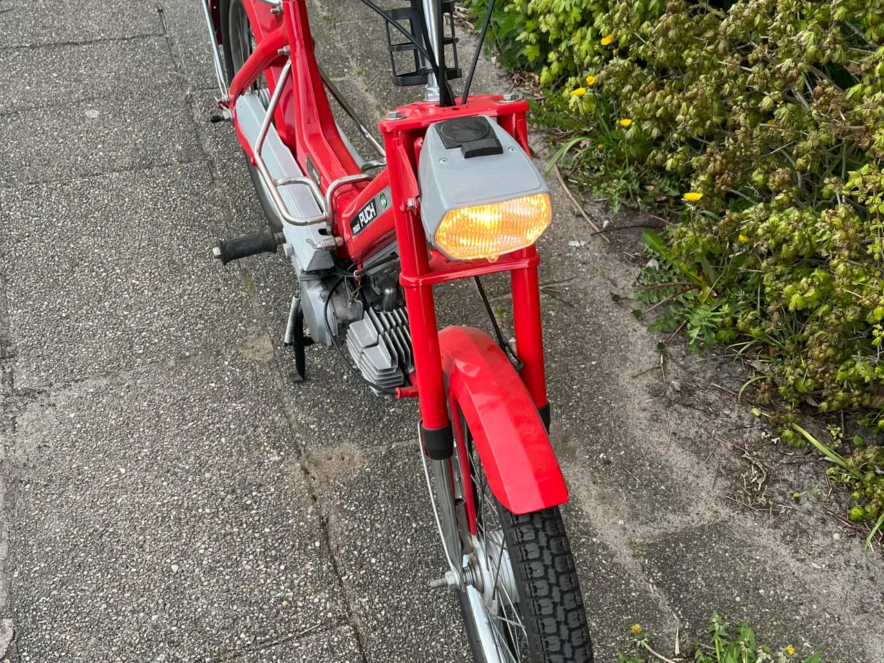 Billede 4 - Puch maxi dansk 