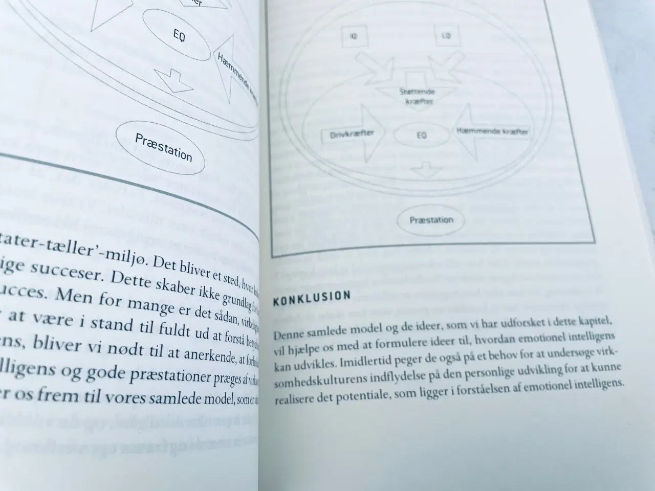 Billede 2 - Emotionel intelligens