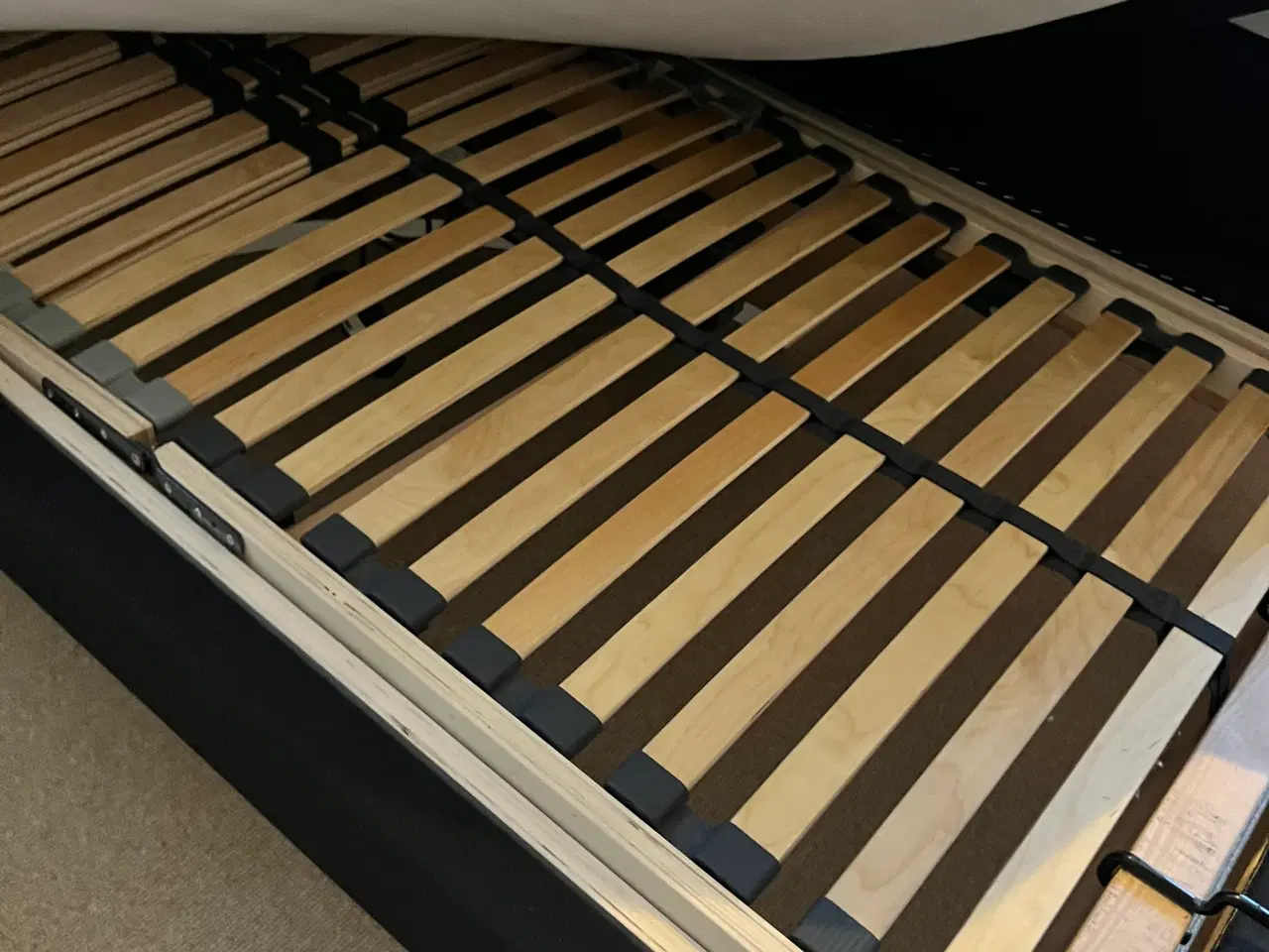 Billede 5 - Elevationsseng, Vision