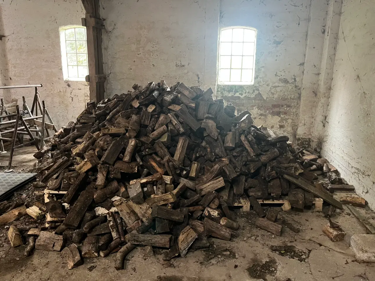 Billede 3 - Træ ca 7 meter