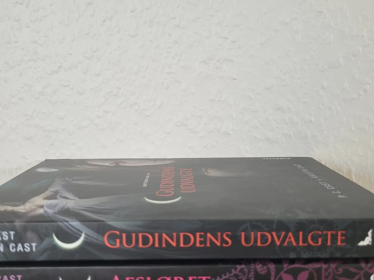 Billede 3 - Bøger - Nattens Hus serie