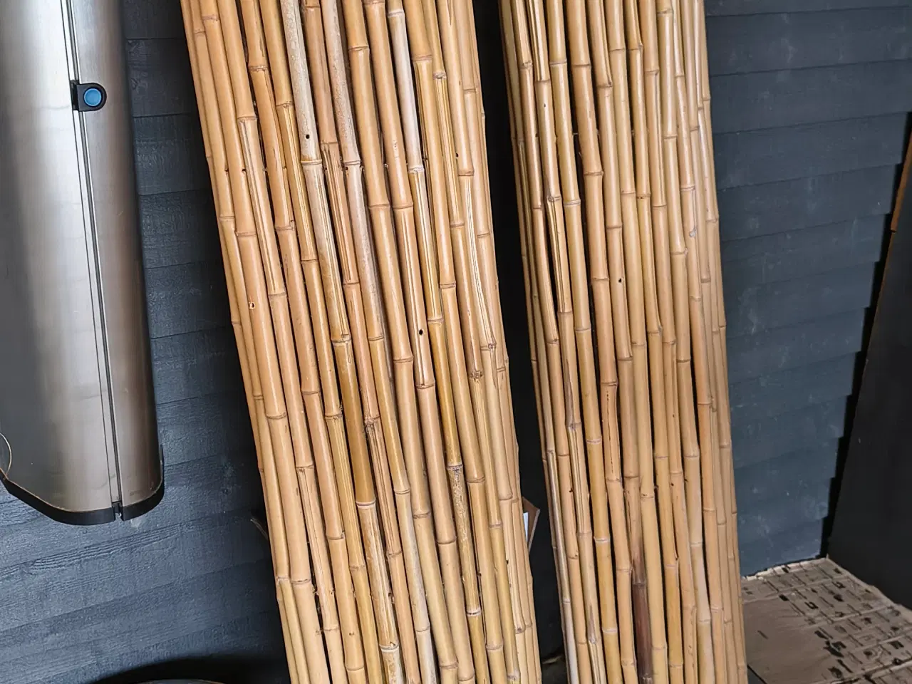Billede 2 - Bambus hegn