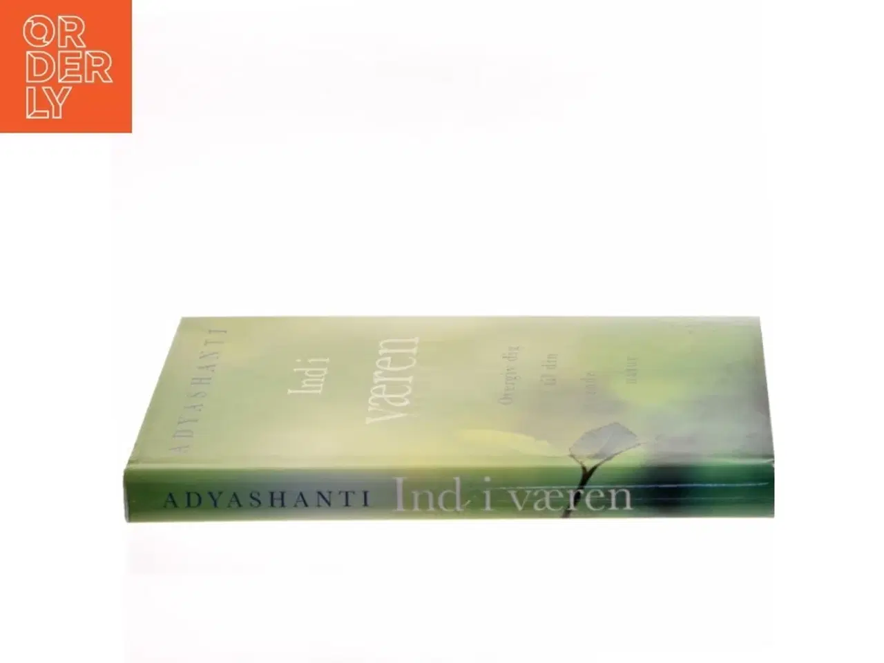 Billede 2 - Ind i væren : overgiv dig til din sande natur af Adyashanti (Bog)