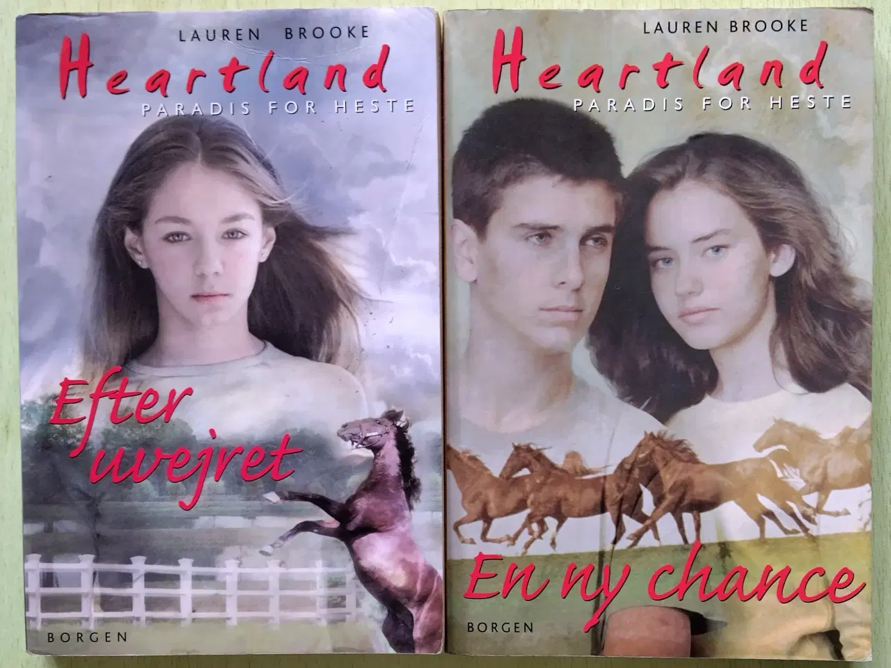 Billede 1 - Heartland