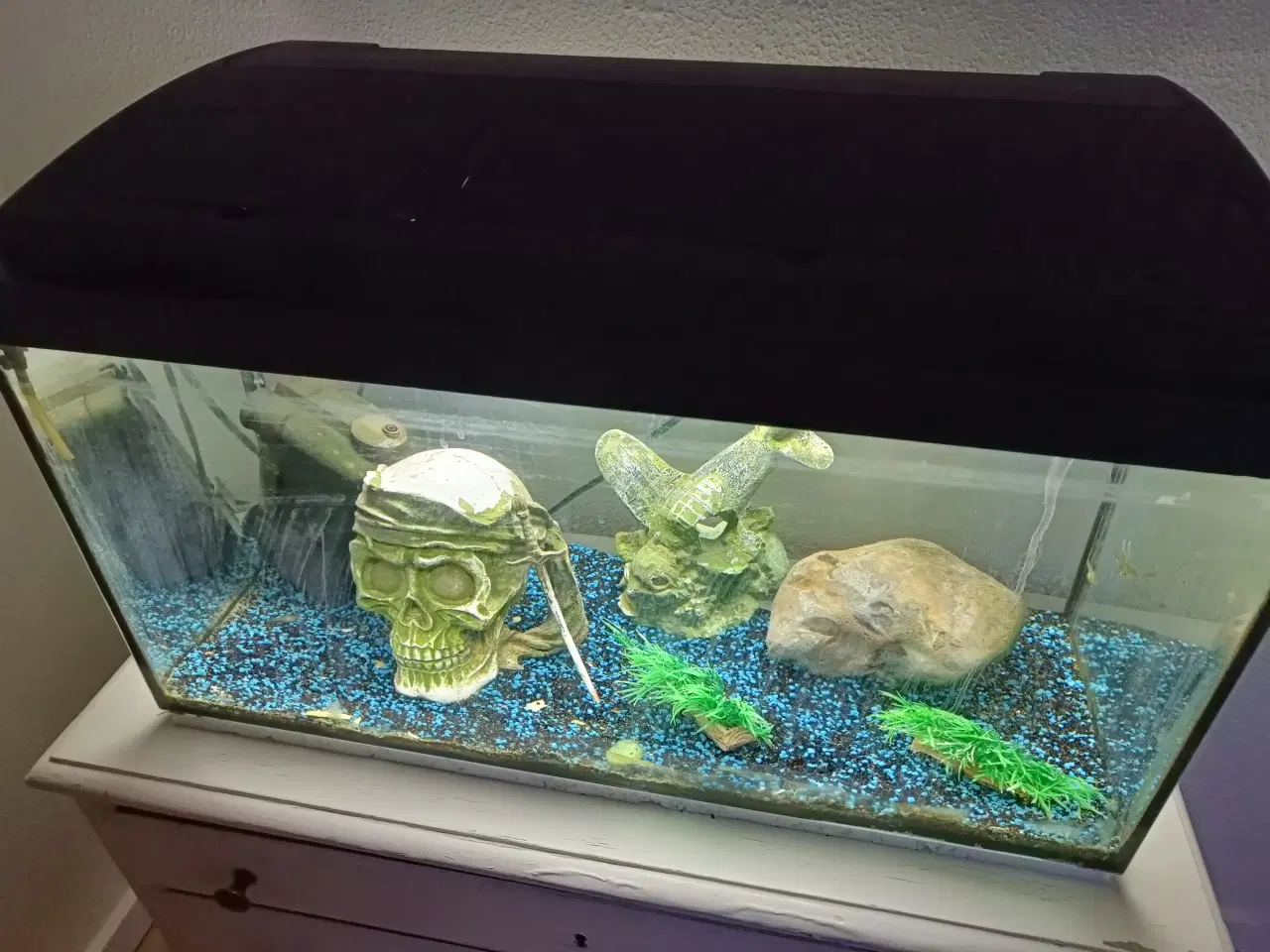 Billede 1 - Akvarium 