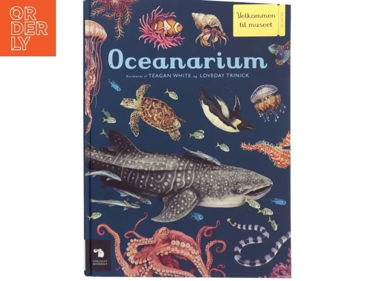 Billede 1 - Oceanarium af Loveday Trinick (Bog)