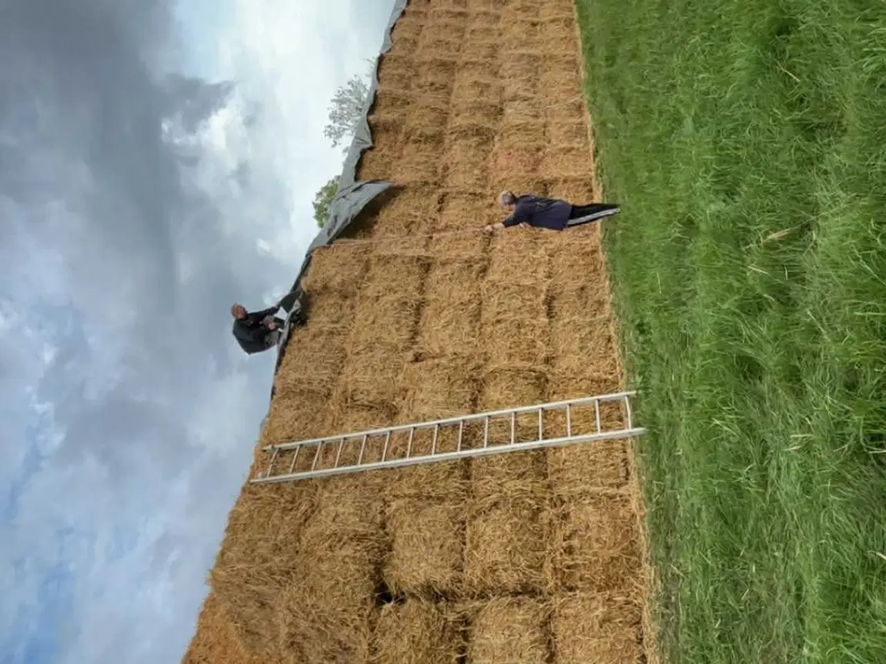 Billede 1 - Halm sælges