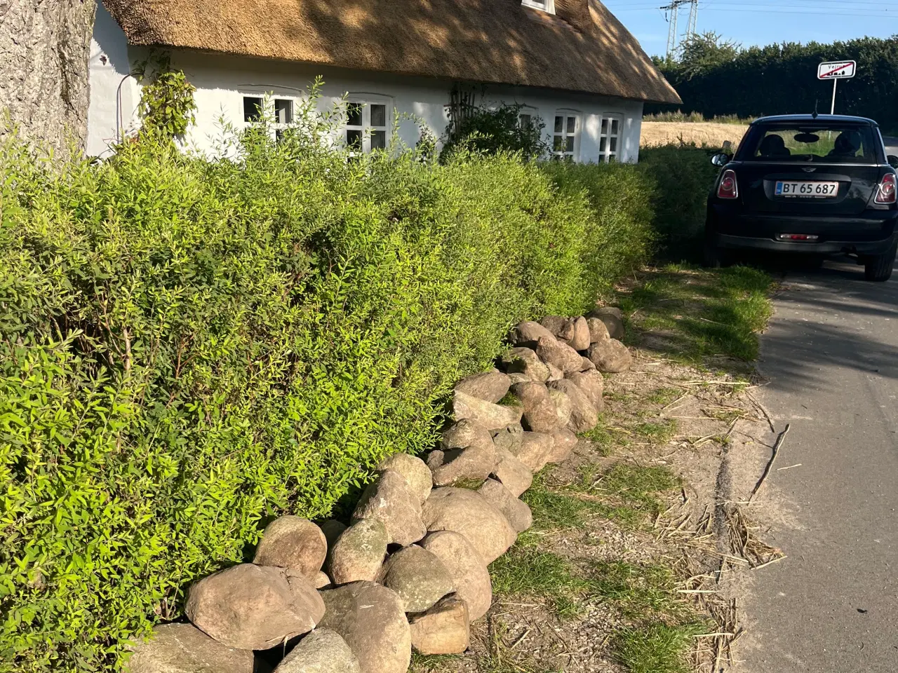Billede 1 - Hent gratis marksten 