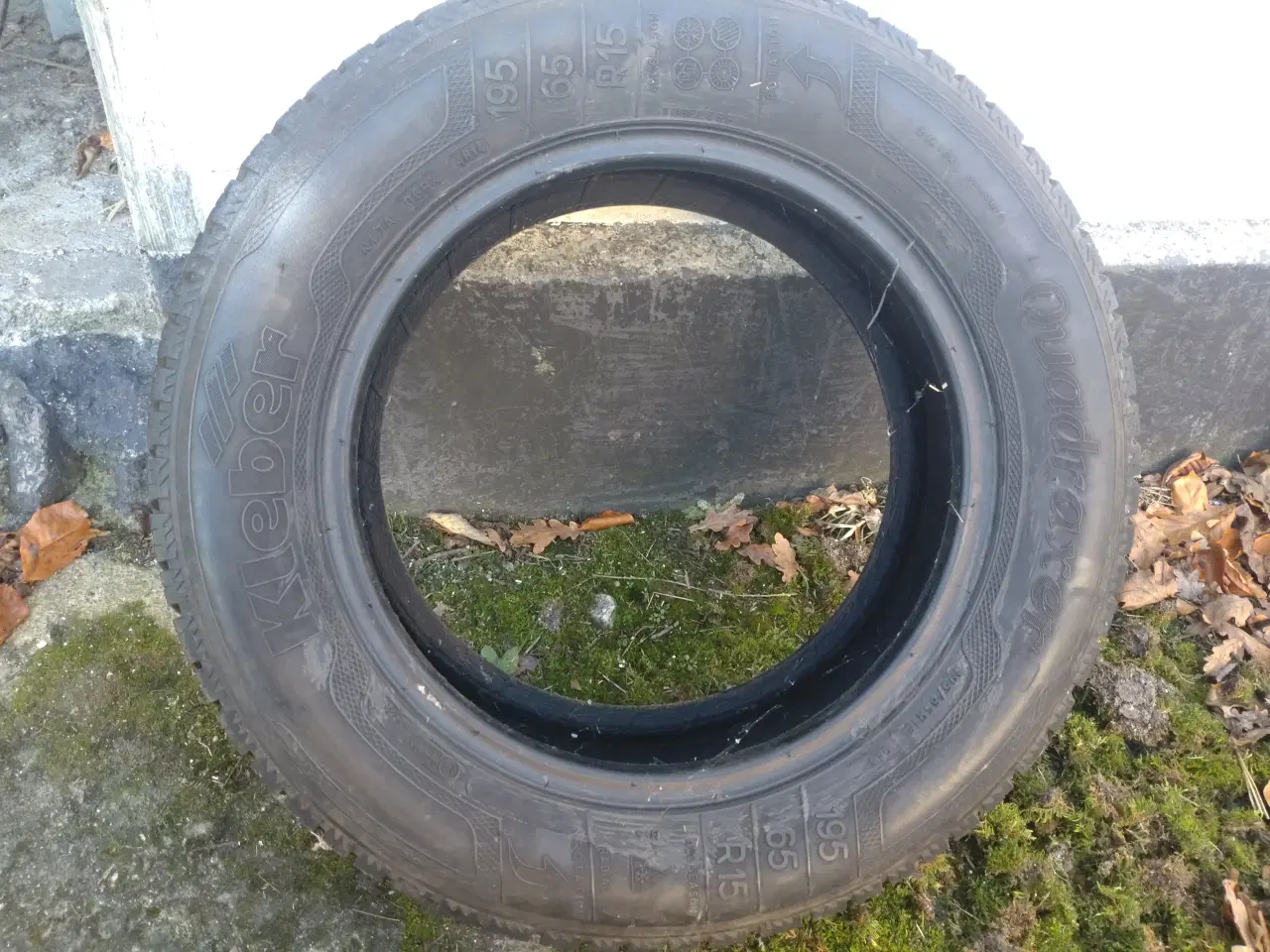 Billede 3 - Helårsdæk