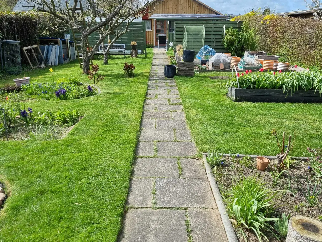 Billede 11 - Kolonihave i skovly - bopælspligt i Vejle