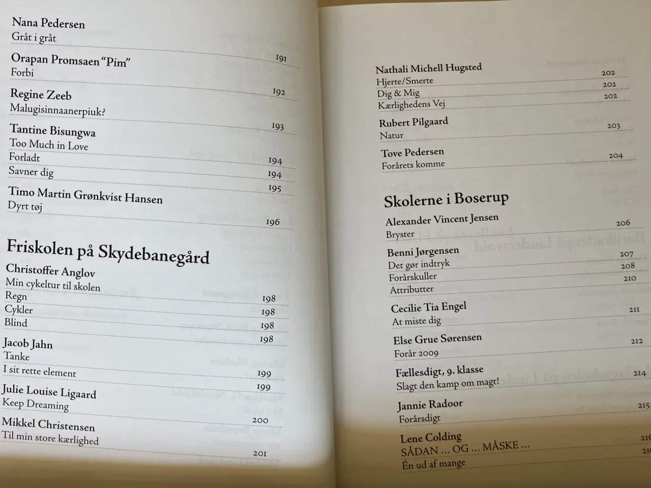 Billede 9 - Poesi - forår. Årgang 2009