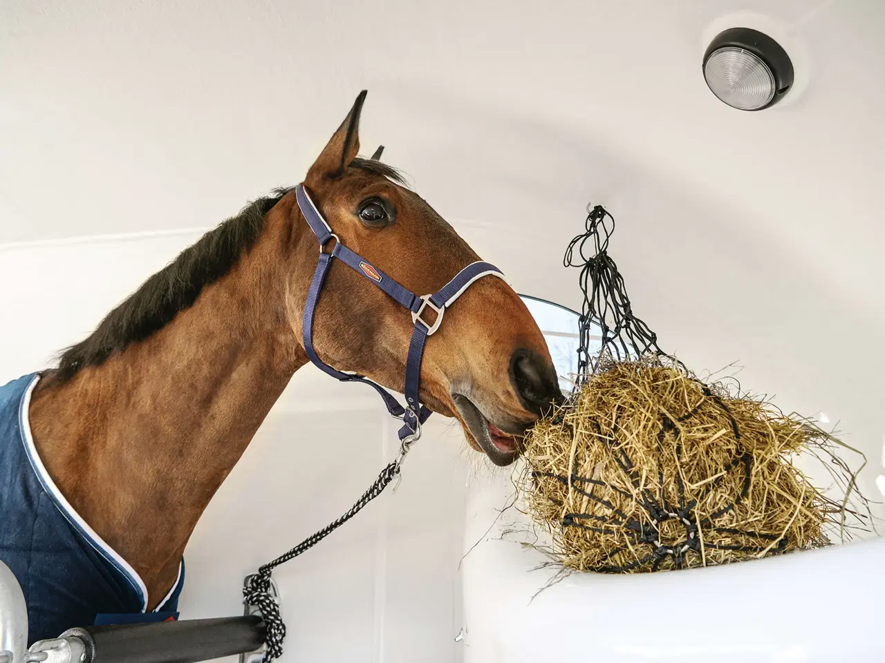 Billede 29 - Böckmann Grand Master SR