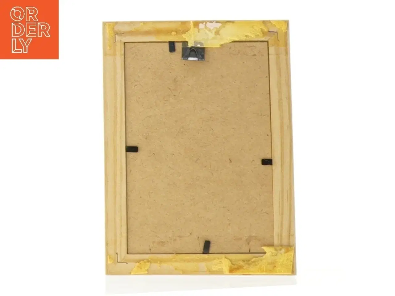 Billede 2 - Indrammet botanisk tryk (str. 19 x 14 cm)