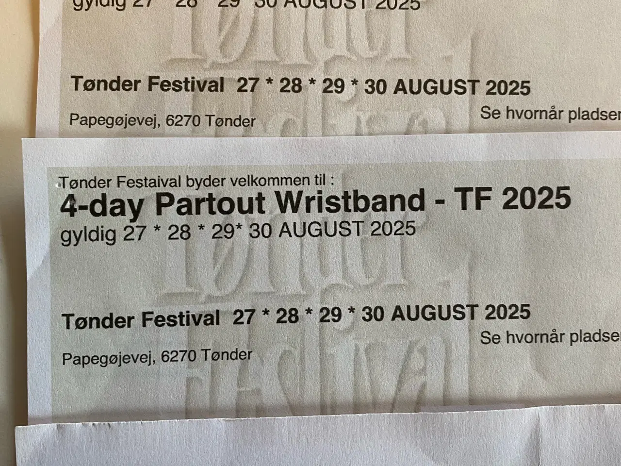 Billede 1 - TØNDER FESTIVAL: 2 X 4-DAGES PARTOUT BILLET SÆLGES