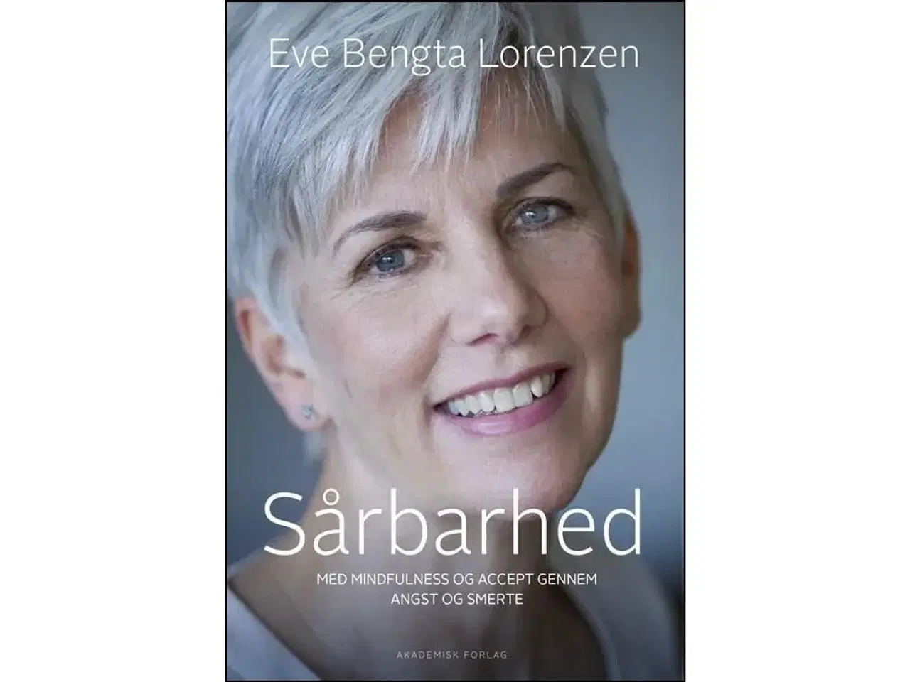 Billede 1 - Sårbarhed