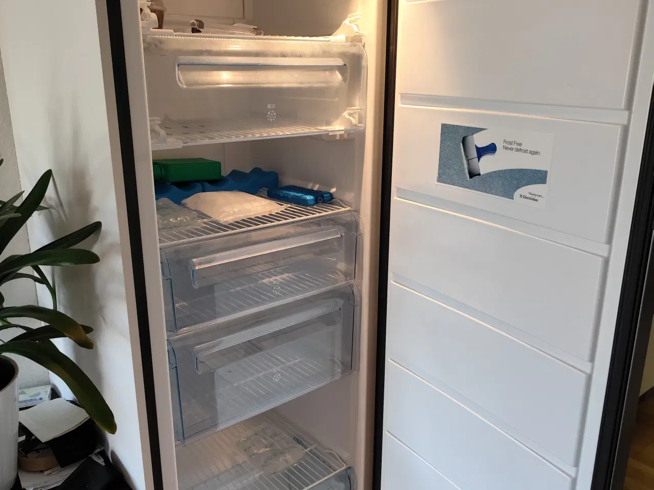 Billede 1 - GRATIS Fryser Electrolux, kan køle til ca 0 grader
