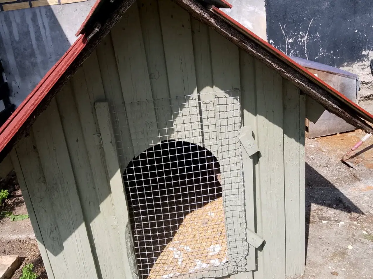 Billede 2 - Hunde/hønse/kaninhus