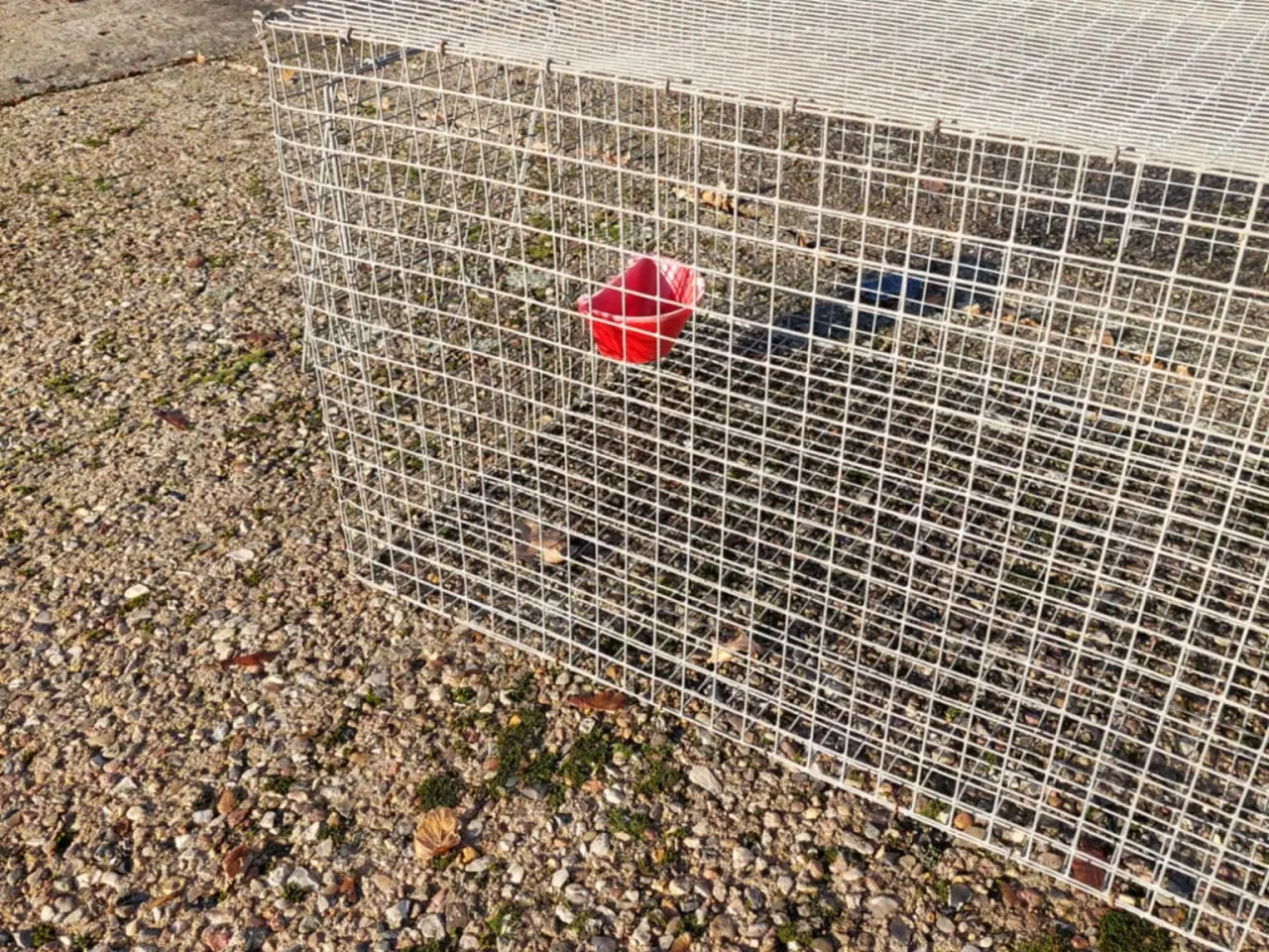 Billede 2 - Tråd bur sælges