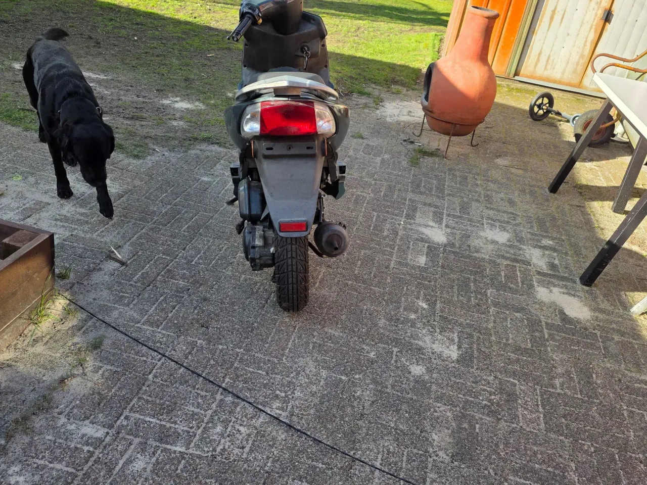 Billede 5 - PGO G-Max