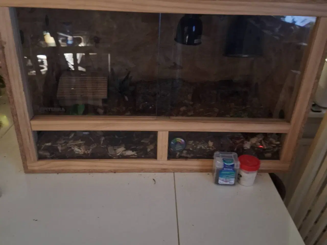 Billede 1 - Akvarium/terratium søges