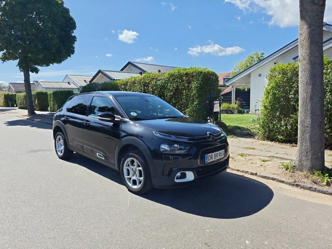 Billede 3 - Citroën C4 Cactus 1,2 PureTech 130 SkyLine