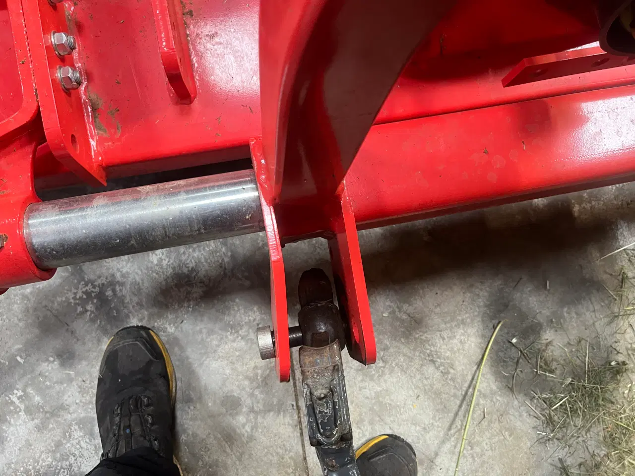 Billede 5 - Brakpudser maschio brava