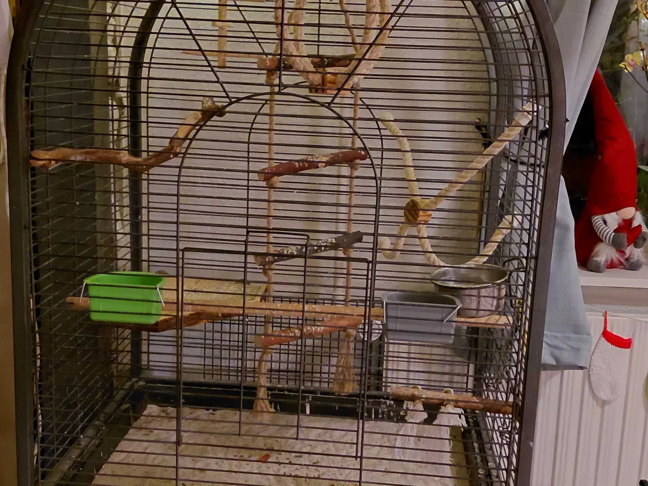 Billede 1 - Fint fuglebur og dværgpapegøjer 