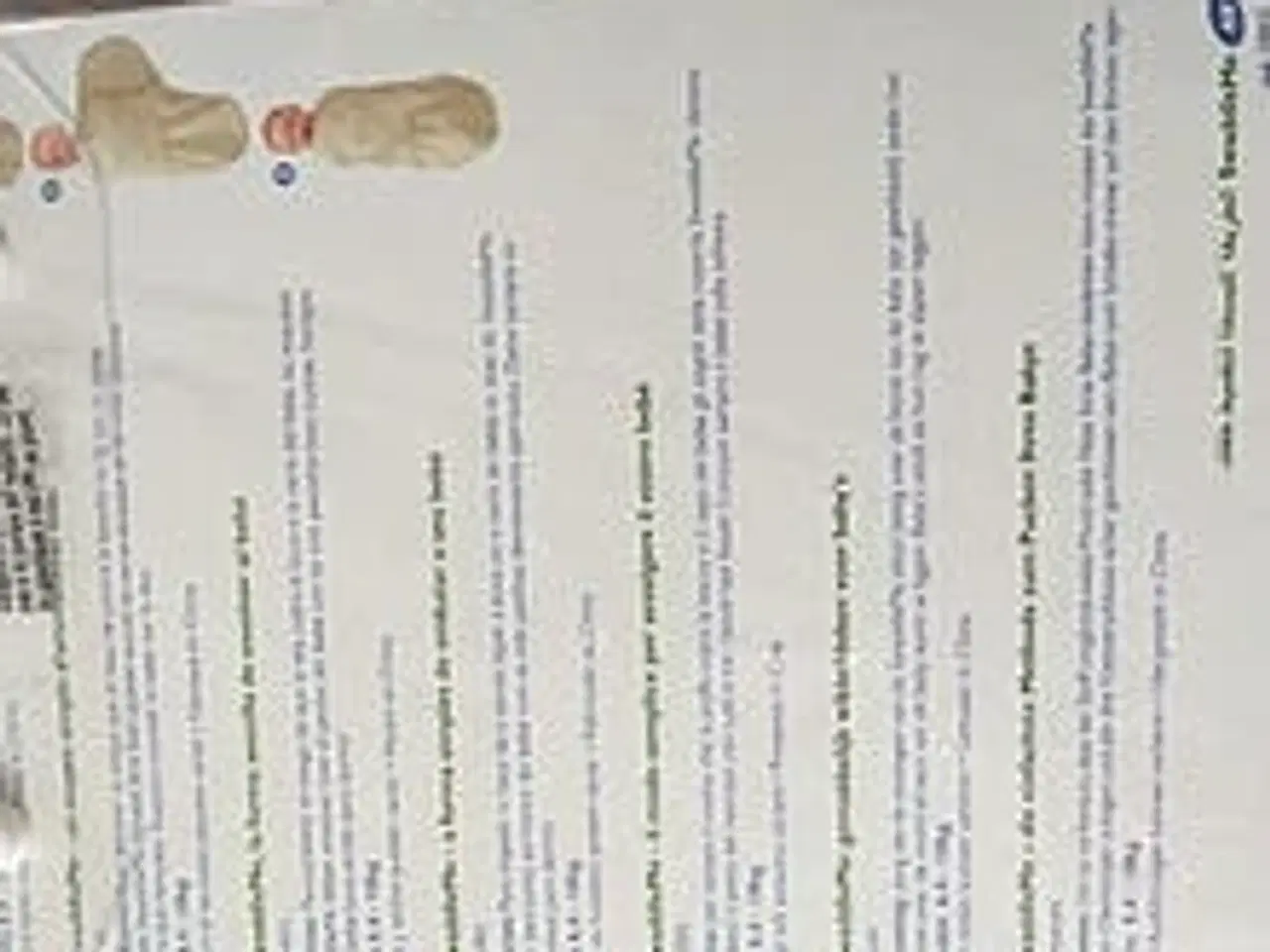 Billede 11 - Babysvøb