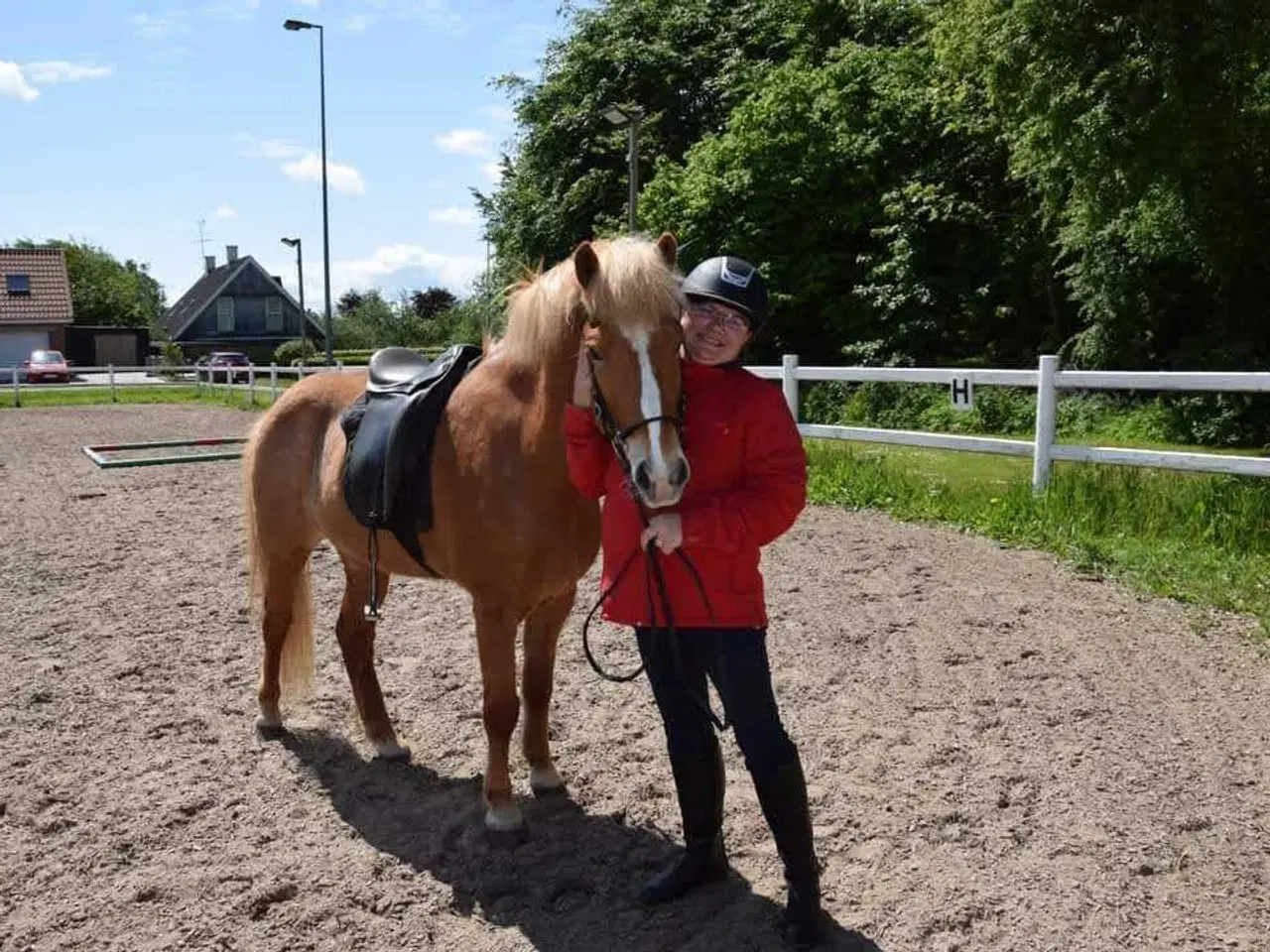Billede 1 - Skovturshest hest søges