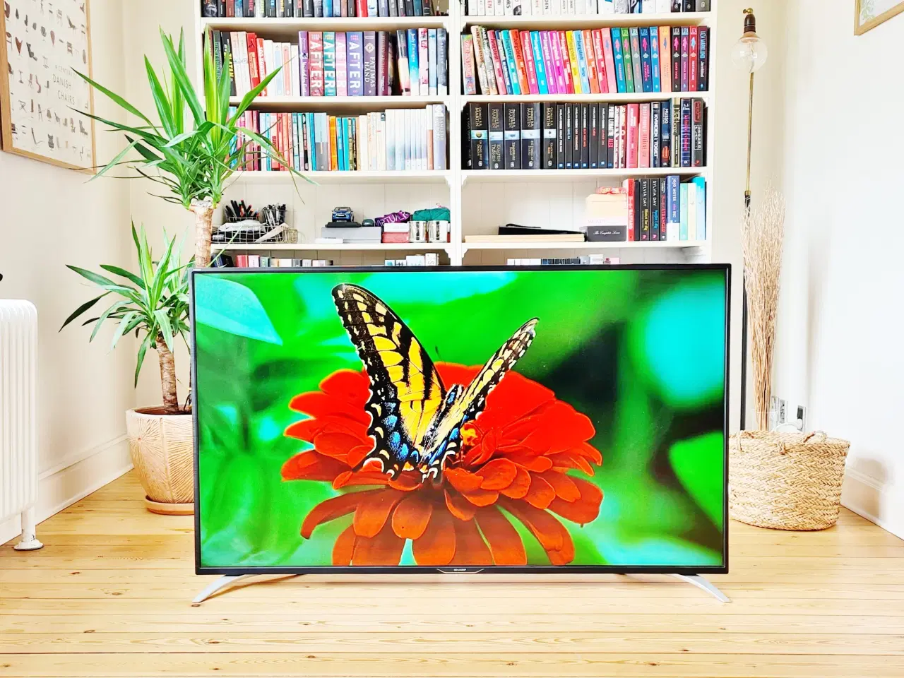 Billede 4 - Sharp 55" 4K Smart TV