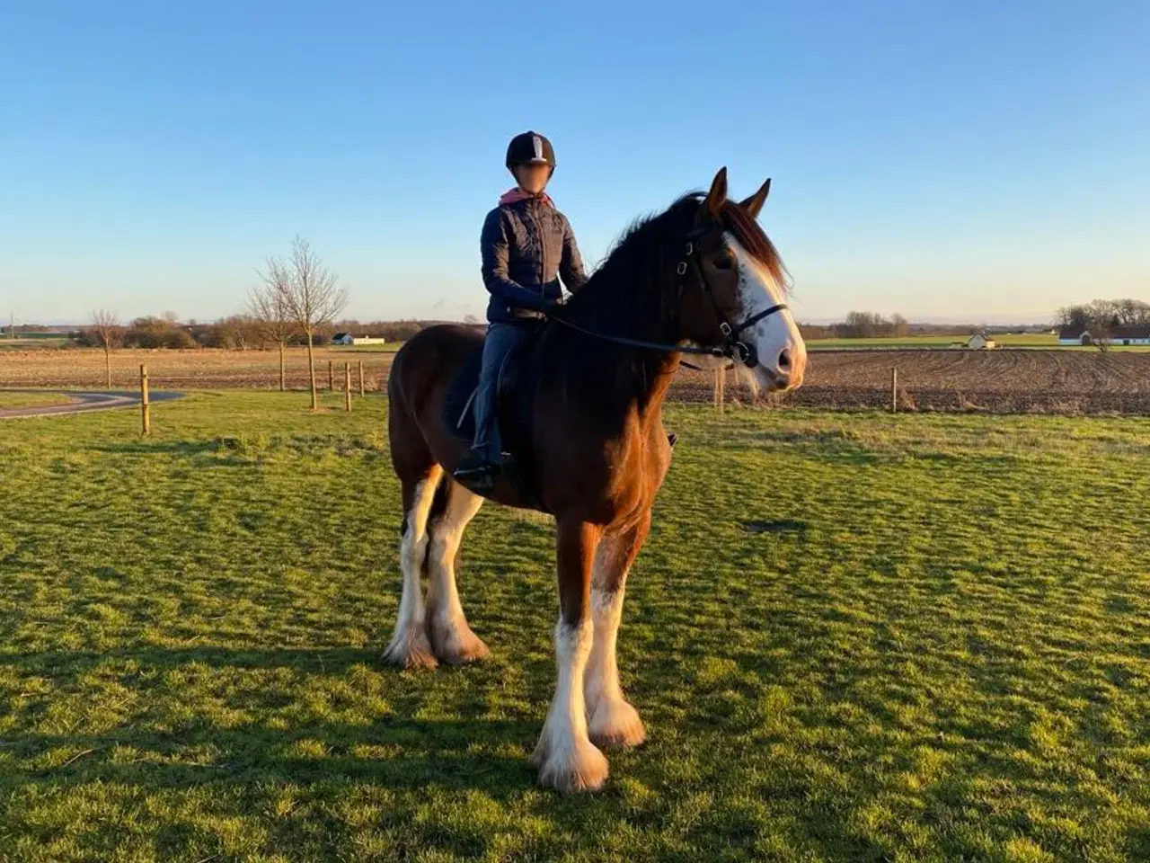 Billede 5 - Sjælden mulighed for at blive ejer af en CLYDESDAL