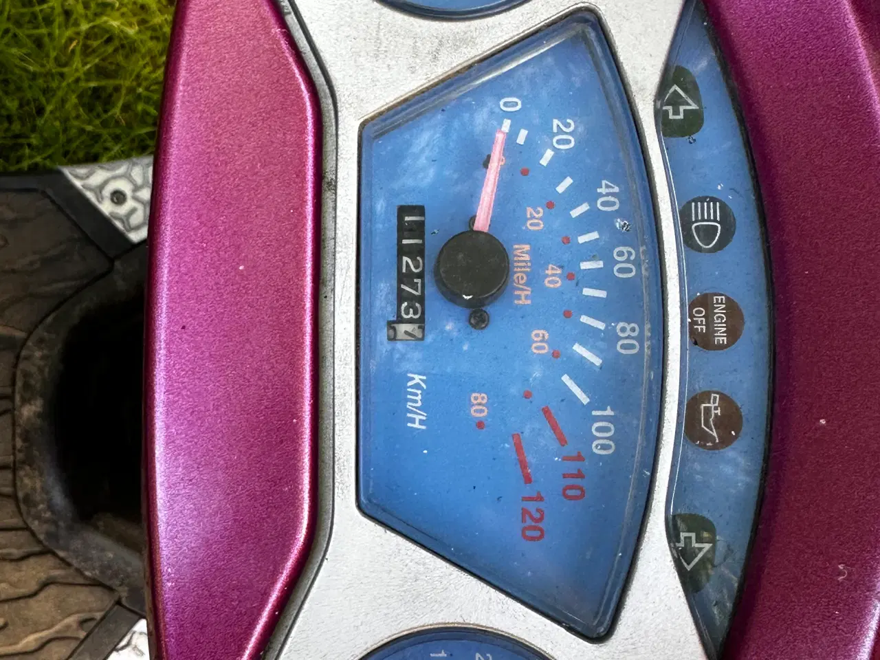 Billede 1 - Pgo t rex 