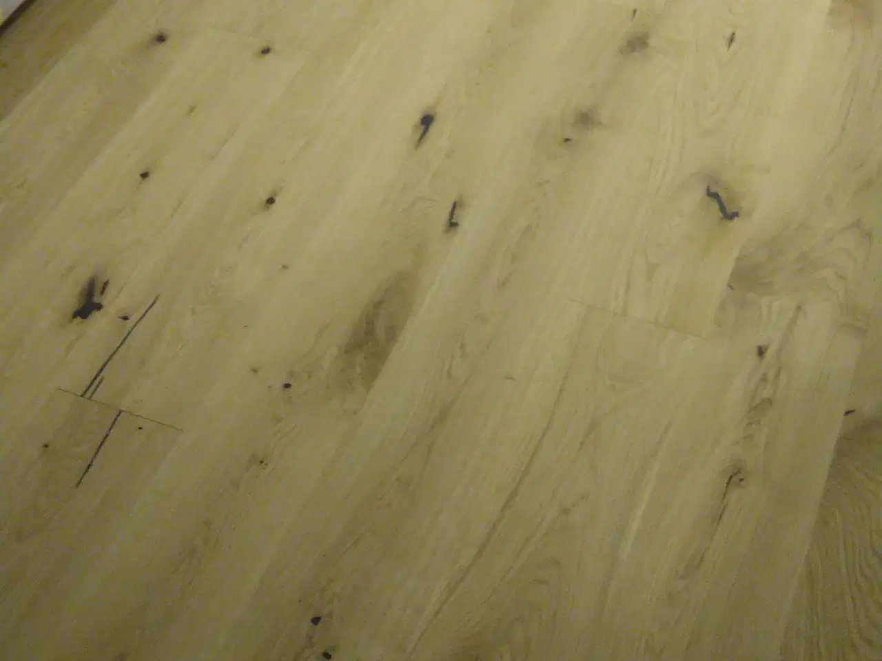 Billede 2 - Egeplankegulv