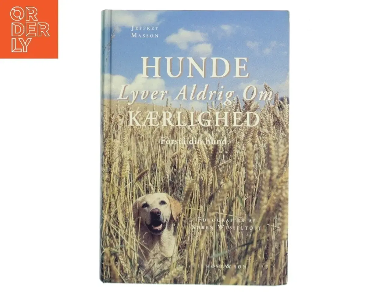 Billede 1 - Hunde lyver aldrig om kærlighed : refleksioner over hundes følelsesmæssige univers af Jeffrey M. Masson (Bog)