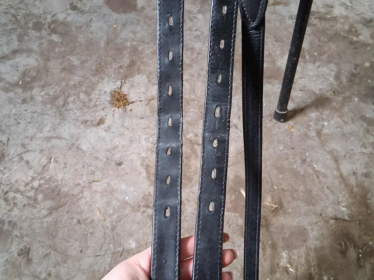 Billede 3 - Wintec isabell Werth med easy change