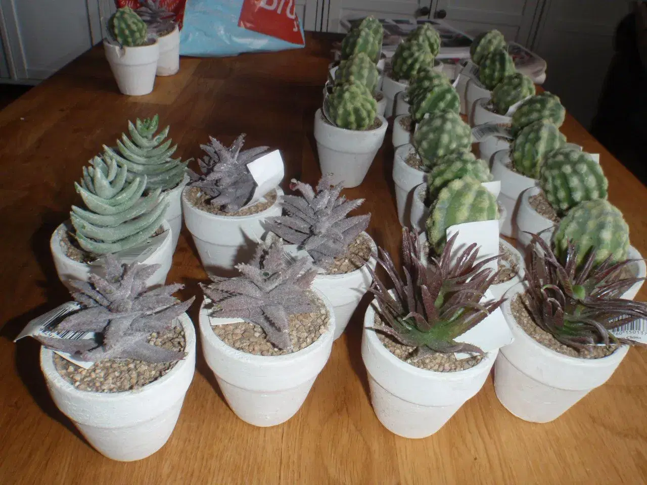 Billede 8 - Kunstige kaktusser