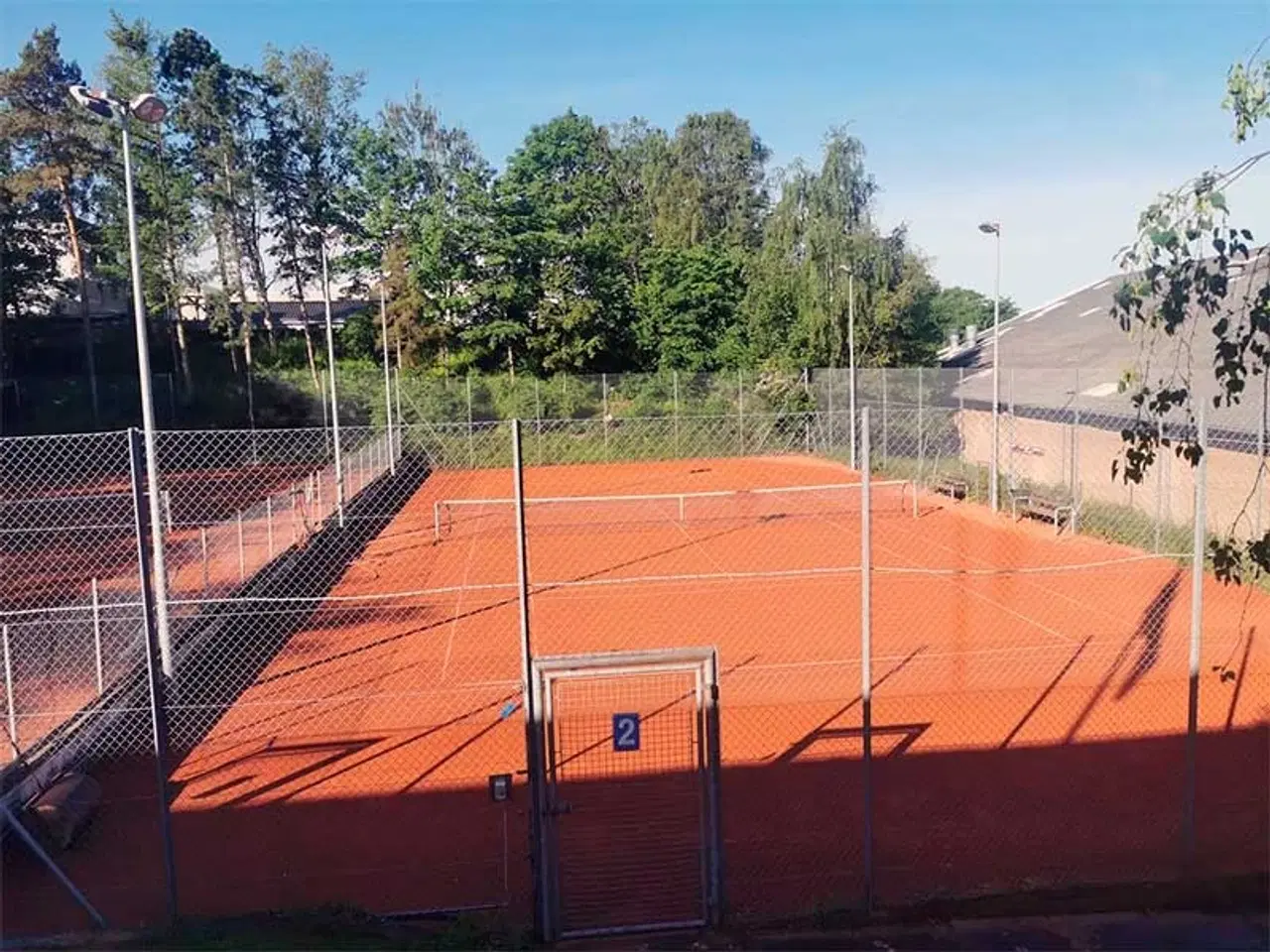 Billede 5 - Tenniskursus for begyndere!! Vejgaard. Øgade.