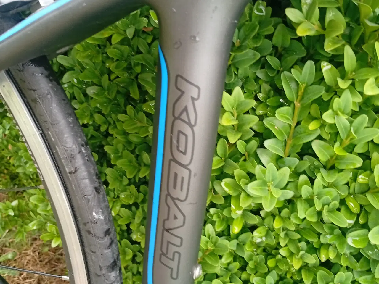 Billede 7 - højkvalitets racercykel CARBON fra KUOTA like new