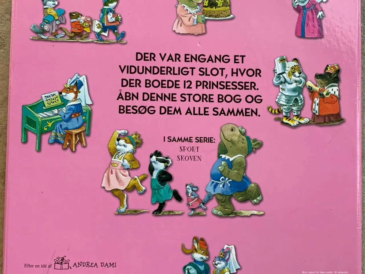 Billede 3 - Luk op og leg prinsesse bog