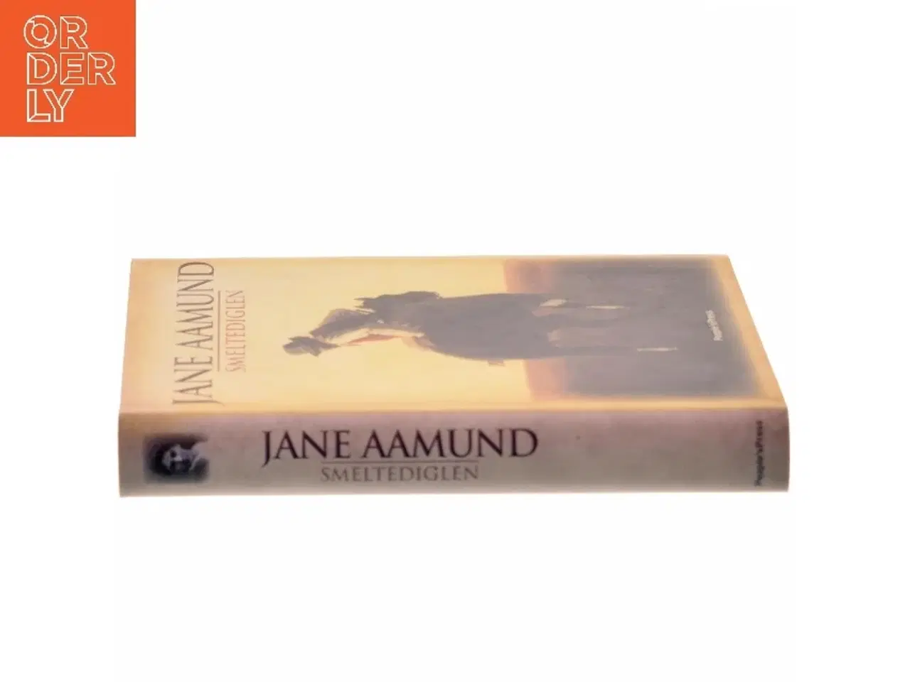 Billede 2 - Smeltediglen : andet bind i slægtskrøniken om de dansk-argentinske indvandrere : roman af Jane Aamund (Bog)