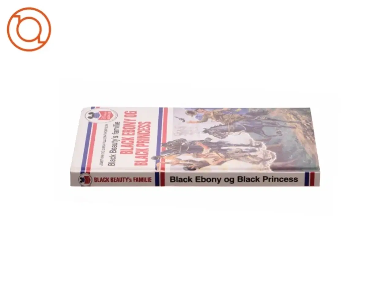 Billede 3 - Black ebony og black princess (bog)