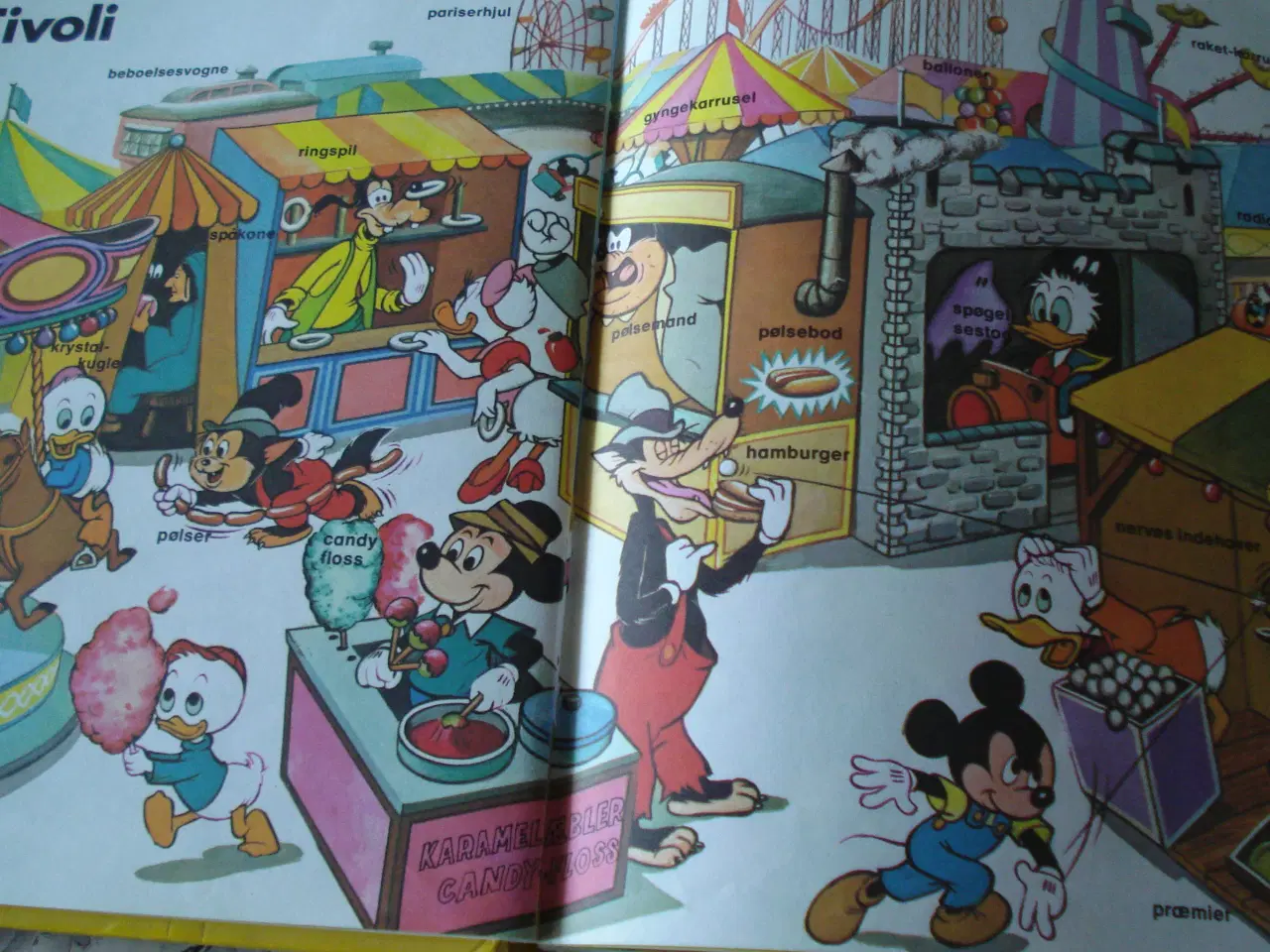 Billede 7 - Disney lærebog i navneord