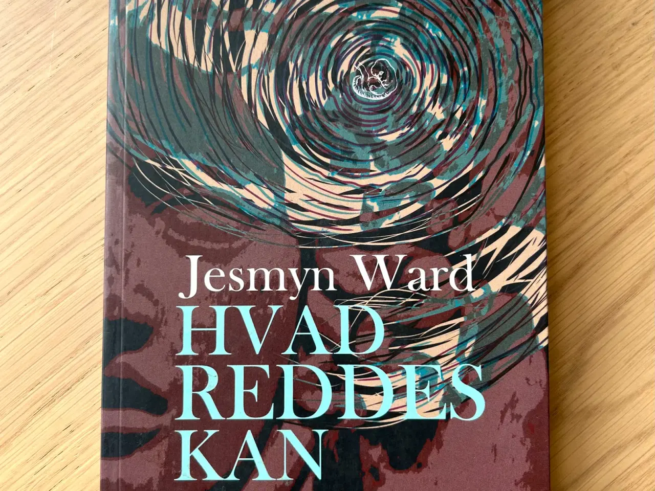 Billede 1 - Hvad Reddes Kan af Jesmyn Ward